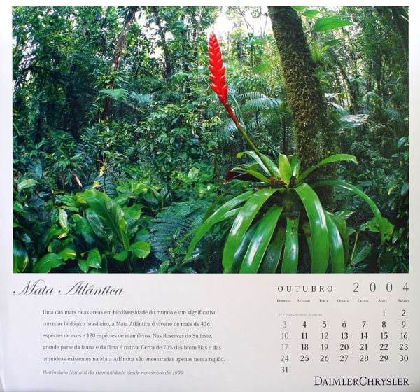 Daimler Chrysler - 2004